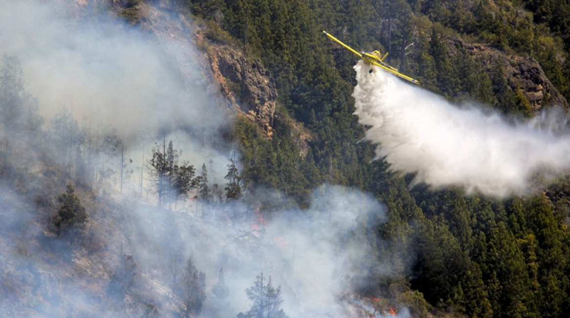 Los incendios forestales no dan tregua: hay focos activos en nueve provincias | Actualidad