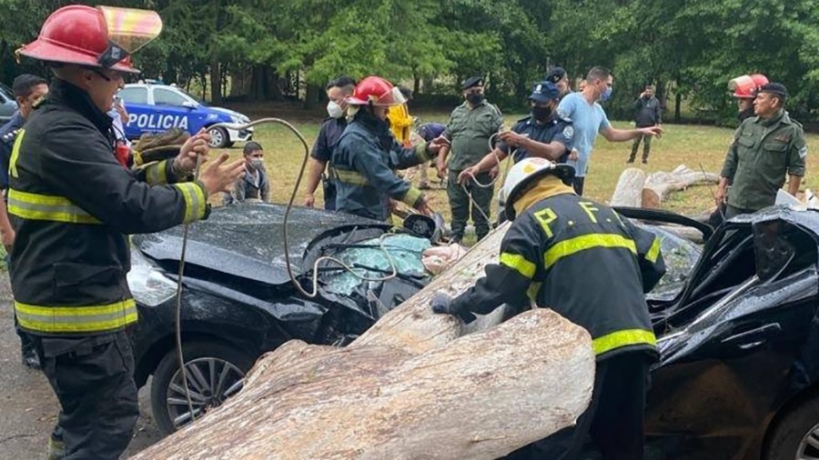 Bomberos de Ezeiza rescataron a una persona de un auto aplastado por un árbol | Actualidad