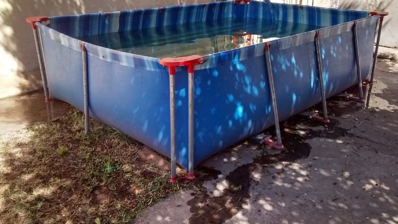 Tragedia en San Juan: una nena murió ahogada al intentar salvar a un gatito | Actualidad