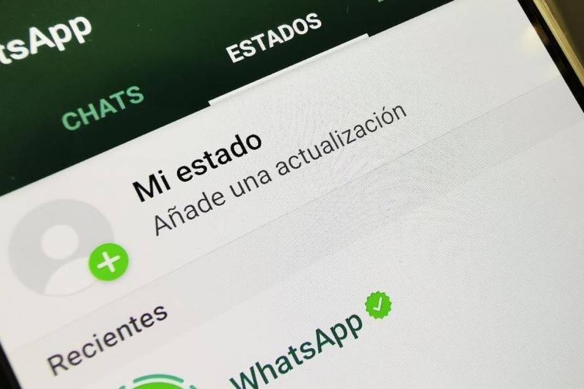 WhatsApp: cómo descargar los estados de tus contactos sin usar aplicaciones | Curiosidades