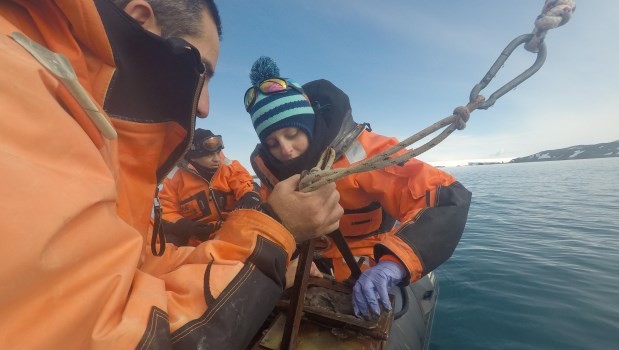 Antártida: Científicos argentinos investigarán microorganismos capaces de mitigar la contaminación | Actualidad