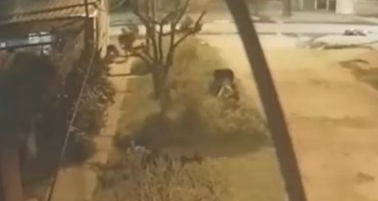 Asesinó a piedrazos a la actual pareja de su exnovia por un televisor | Actualidad