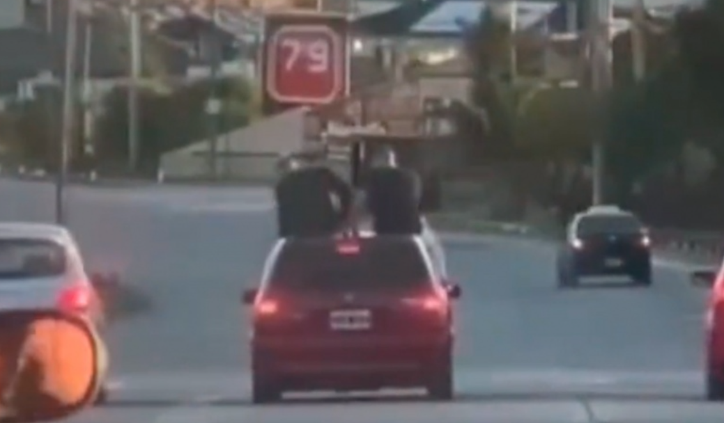 Piden suspender la licencia de conductor que llevó a dos personas sobre el techo de su auto | Actualidad