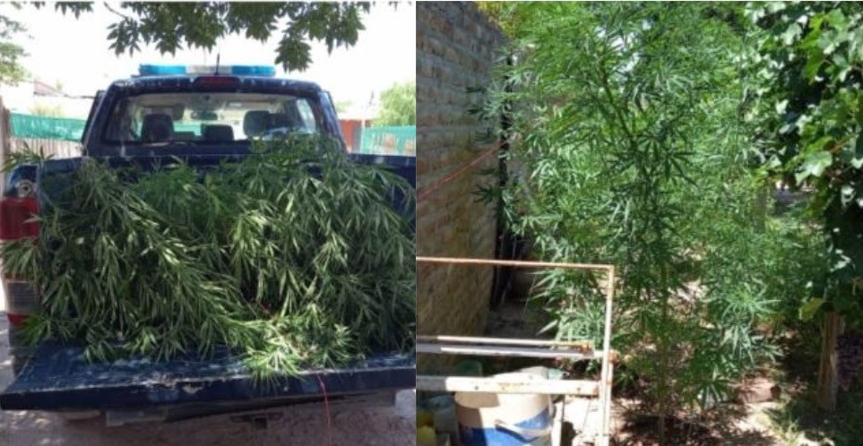 Denunció al vecino por el fuerte olor en su vivienda: qué encontró la Policía | Actualidad