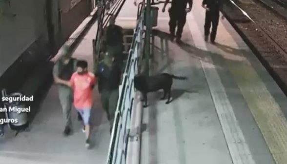 Detuvieron a un hombre con un arma de fuego en la línea San Martín de tren | Actualidad