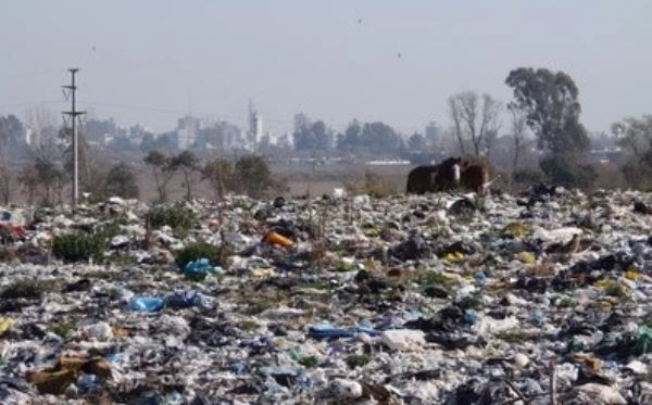 Un cartonero murió aplastado por un camión en Pergamino cuando juntaba material reciclable junto a su familia | Actualidad