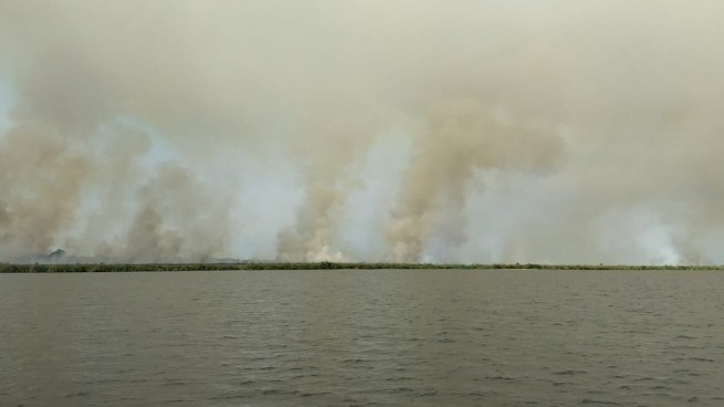 Los incendios en Corrientes alcanzaron el ingreso a los Esteros del Iberá | Actualidad