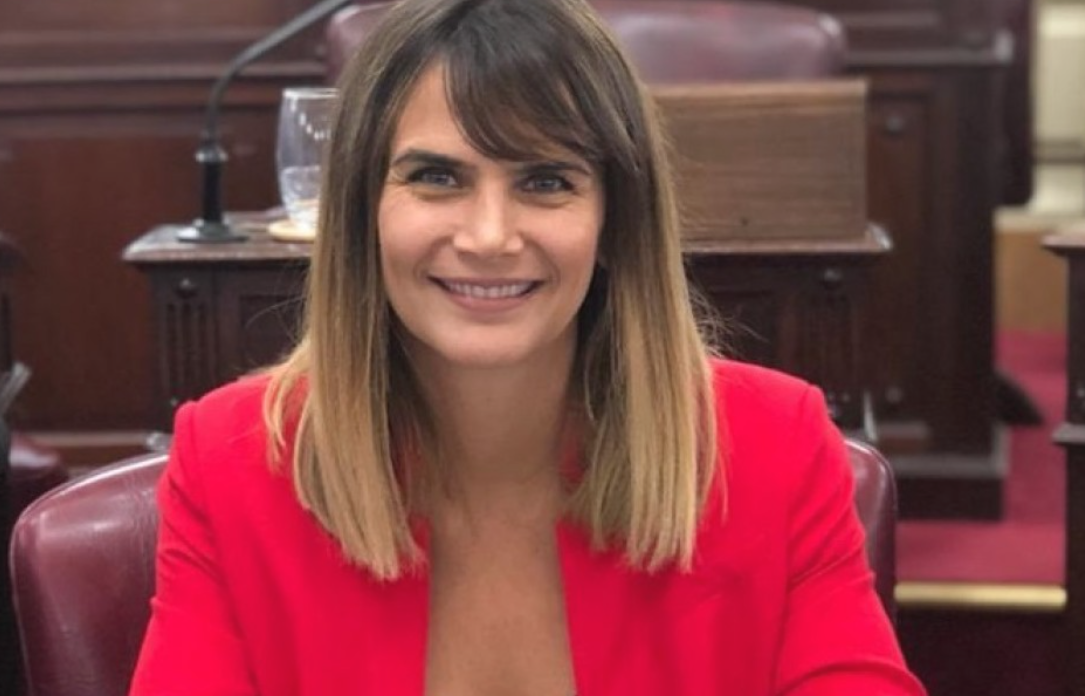 Amalia Granata presentó un proyecto para proteger el patrimonio de denunciantes de delitos contra la integridad sexual | Política y economía
