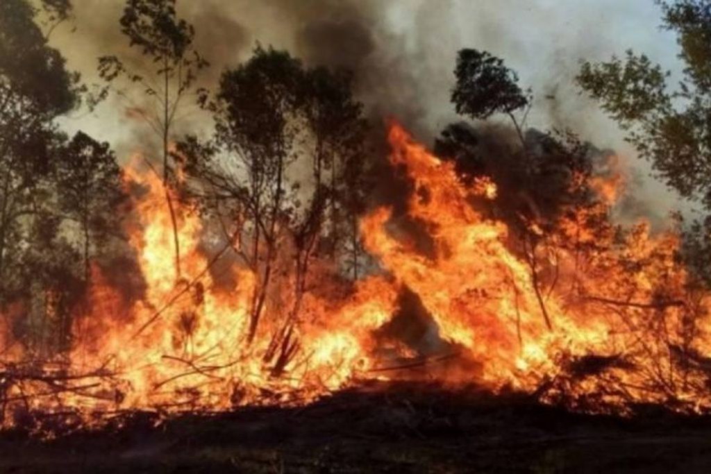Mauricio Macri apuntó contra el Gobierno por los incendios en Corrientes: "Nunca respondieron" | Política y economía