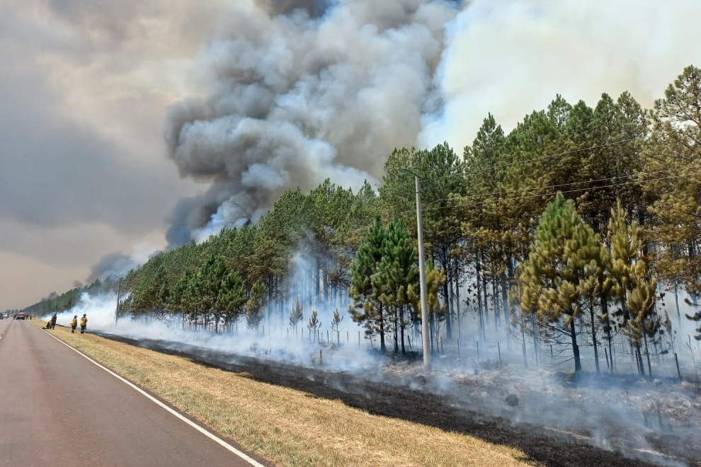 Corrientes: bomberos cordobeses continúan colaborando para combatir el fuego | Córdoba