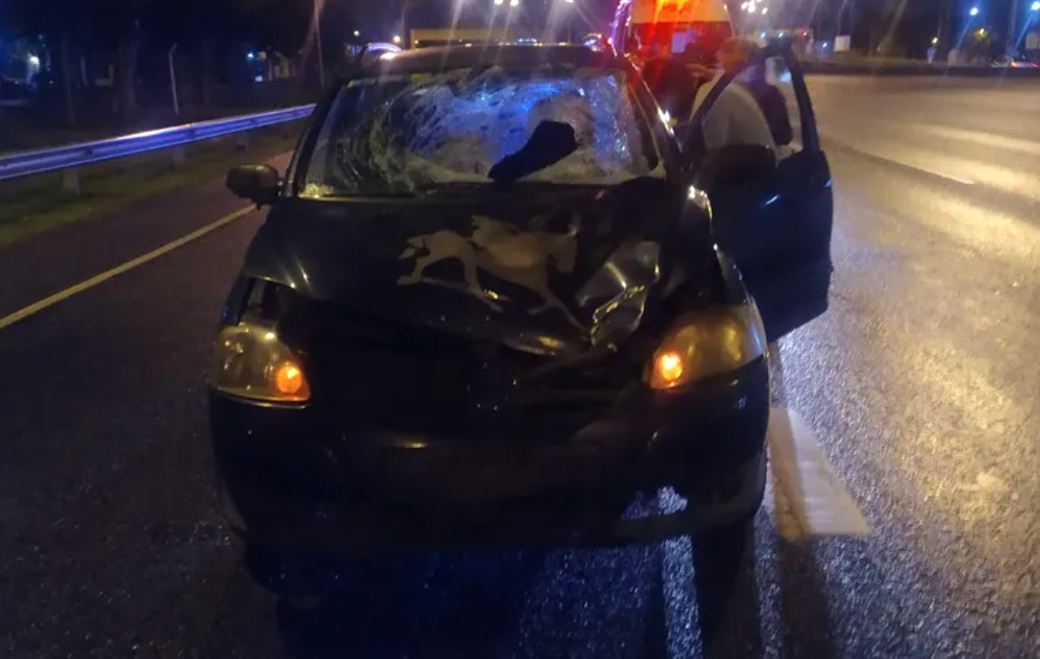 Un joven murió cuando intentó cruzar a pie la Panamericana | Actualidad