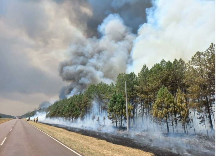Las lluvias comienzan a dar esperanza en la lucha contra los incendios en Corrientes | Actualidad