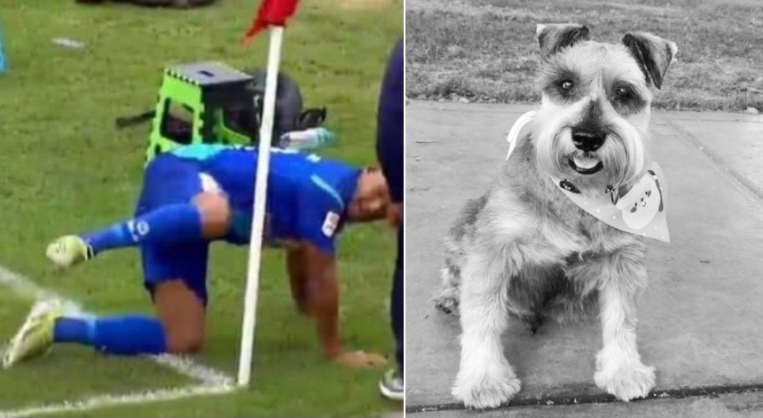 Emocionante festejo: hizo un gol y homenajeó a su perro fallecido | Deportes