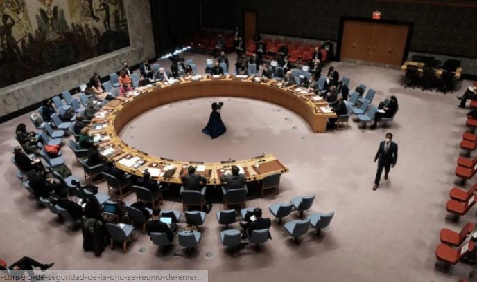 El Consejo de Seguridad de la ONU "lamentó" el avance ruso sobre Ucrania | Internacionales