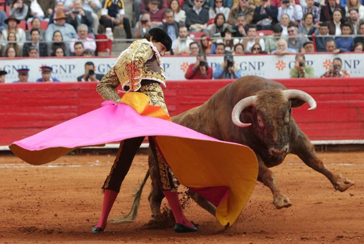 Iniciativa parlamentaria busca prohibir las corridas de toros en la Ciudad de México | Internacionales