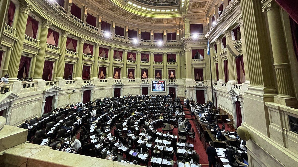 Diputados se manifestaron respecto del acuerdo con el FMI | Política y economía