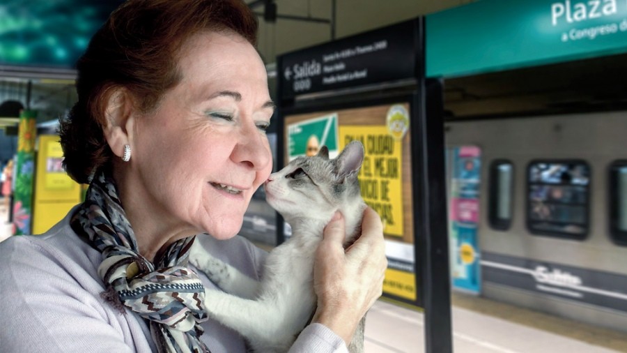 Los animales domésticos reducen el deterioro cognitivo de los adultos mayores | Actualidad