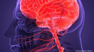 Fin del misterio: revelan qué le ocurre a nuestro cerebro justo antes de morir | Internacionales