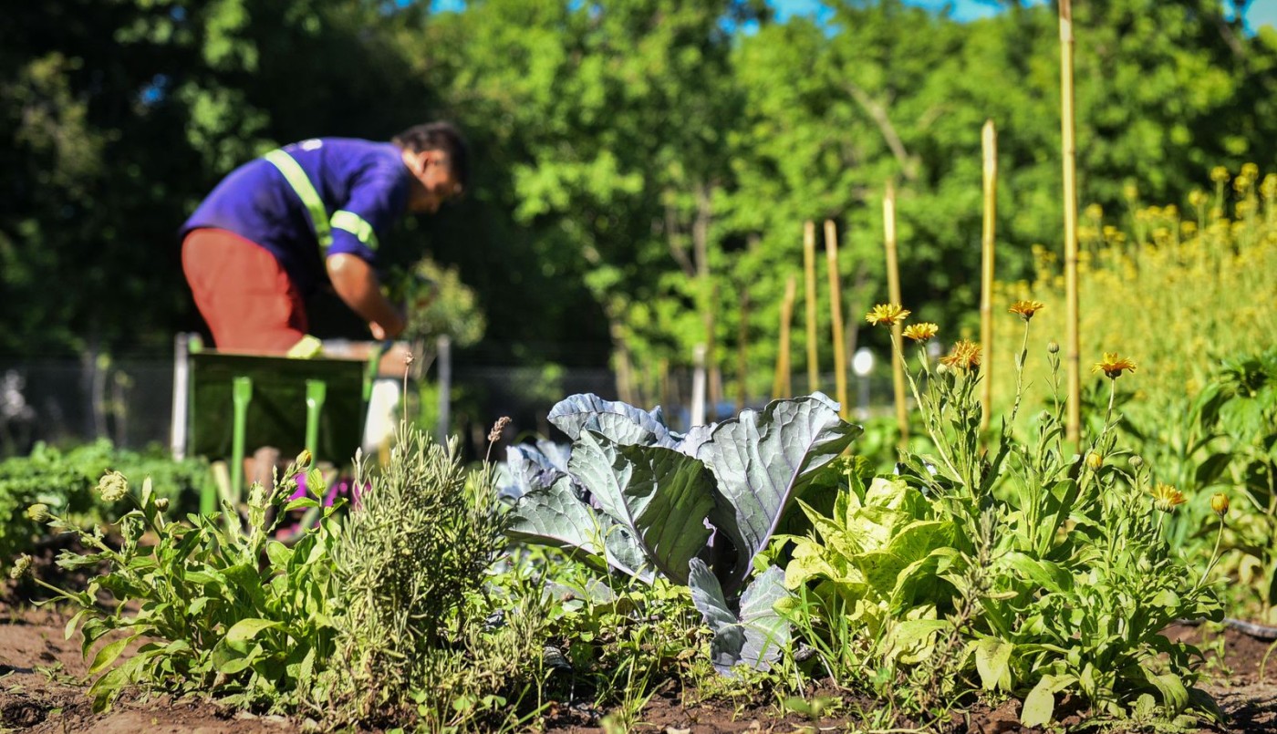 Colonia Almada es la primera ciudad del país con verdulería estatal | Córdoba