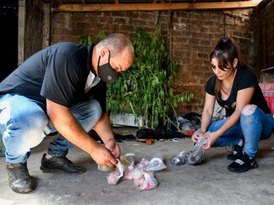 Cocaína envenenada: desafectaron al jefe de la comisaría de Billinghurst tras desbaratar la banda de "Mameluco" | Actualidad
