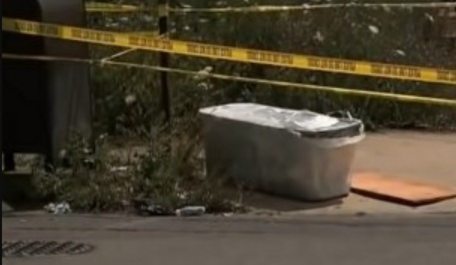 Asesinó a su prima, escondió el cadáver en un tacho y escribió mensajes desde el celular de la víctima | Internacionales