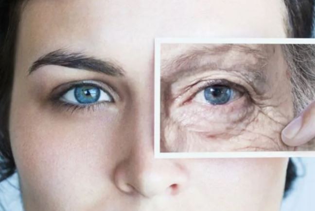 Afirman que cada órgano humano tiene su propio ritmo de envejecimiento | Salud