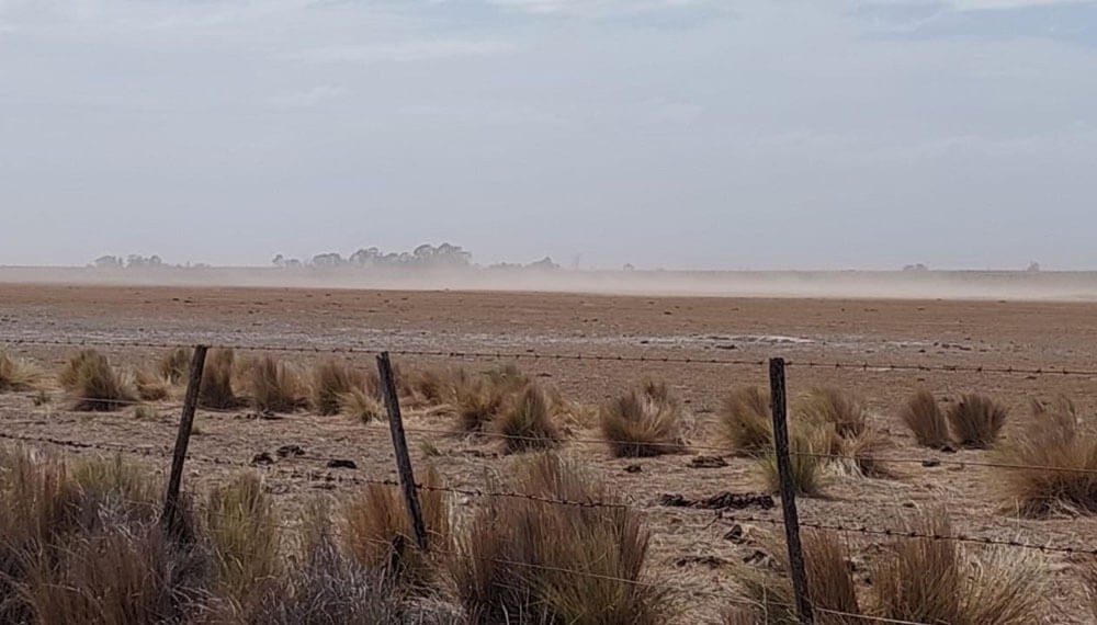 El Ministerio de Agricultura declaró la emergencia agropecuaria en Patagones | Actualidad