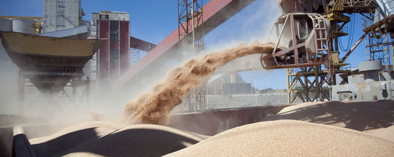 Perotti: “Cerrar exportaciones de harina y aceite de soja frenará el ingreso de divisas” | Política y economía