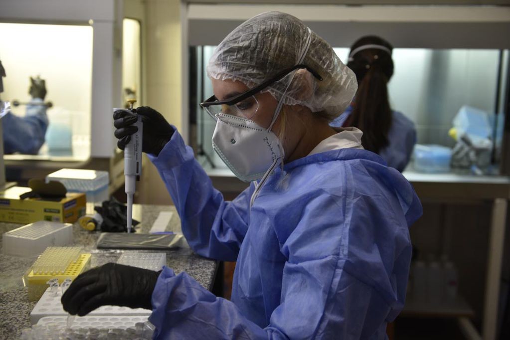 Detectan casos de la subvariante BA.2 de Ómicron en Argentina | Actualidad