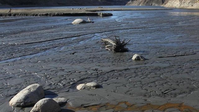 Día Mundial del Agua: Advierten sobre la disminución de los recursos de agua dulce | Actualidad