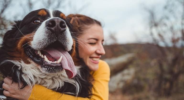 El pedido de una veterinaria que se hizo viral: "No dejes que tu perro se muera solo" | Actualidad