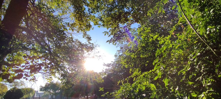 Jornada templada, ascenso de temperatura, máxima de 29° | Córdoba