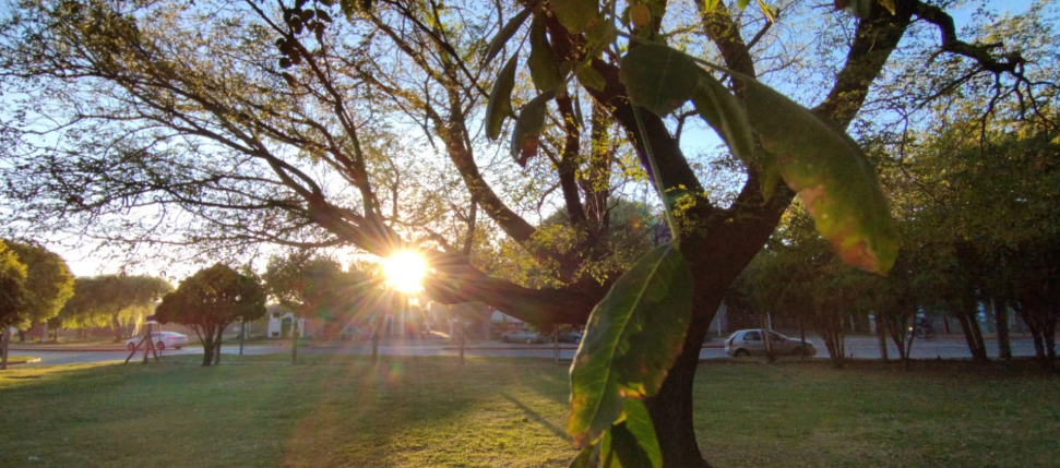 Cálido, algo nublado, ascenso de temperatura, máxima de 28° | Córdoba