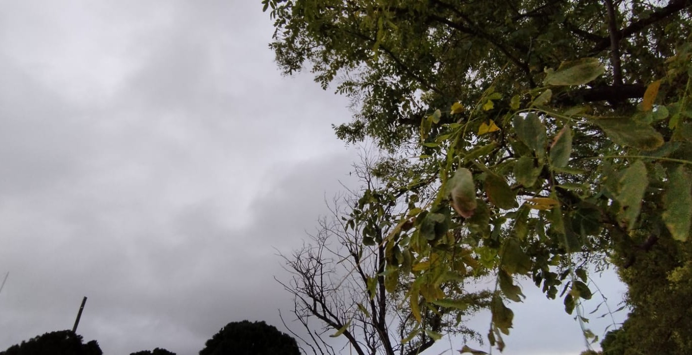 Lunesfrescoeinestable | Córdoba