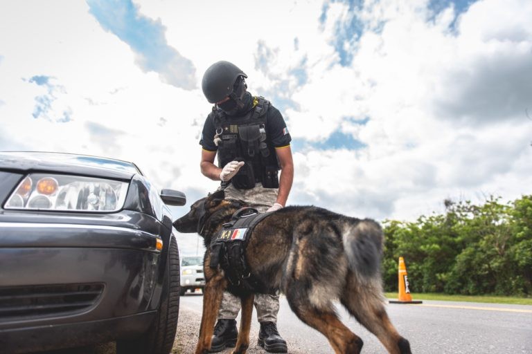 detenidosnarcotraficodrogassanfrancisco | Córdoba