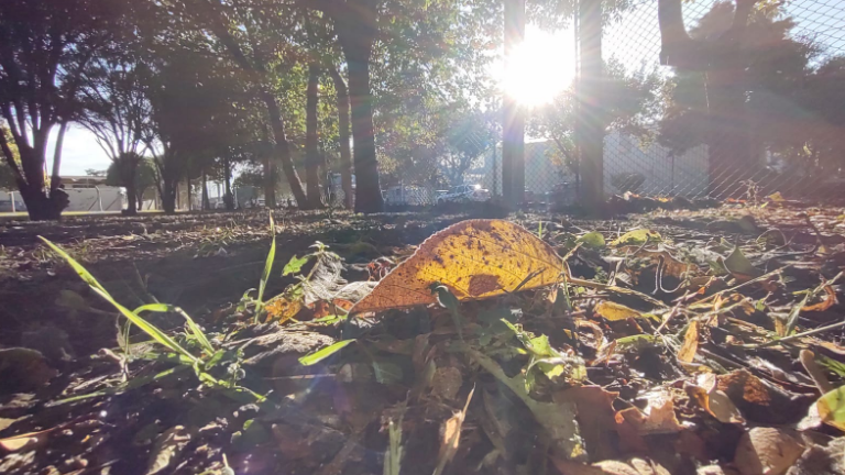 Bueno y seco, aire frío, tarde agradable, máxima 23° | Córdoba