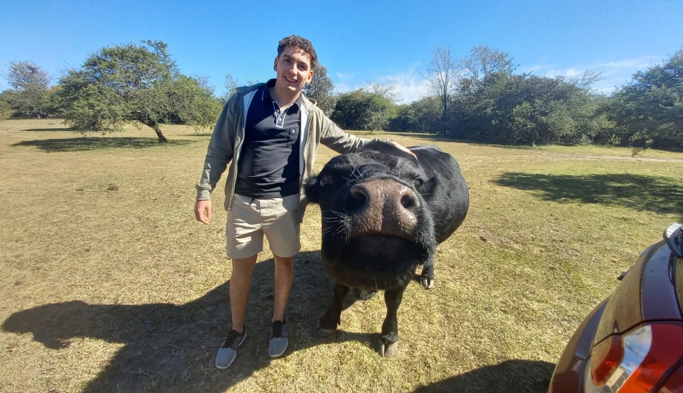 La historia de Clota: la vaca que se cree perro y es furor en las redes | Córdoba