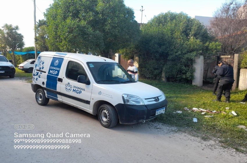 Una jubilada fue atacada por su perro rottweiler: tuvieron que dispararle al perro para que dejara de morder | Actualidad