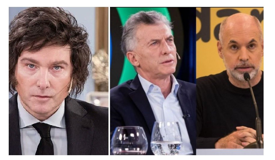 Milei: "No haría alianza con las palomitas tibias del PRO pero a los halcones los recibiría" | Política y economía