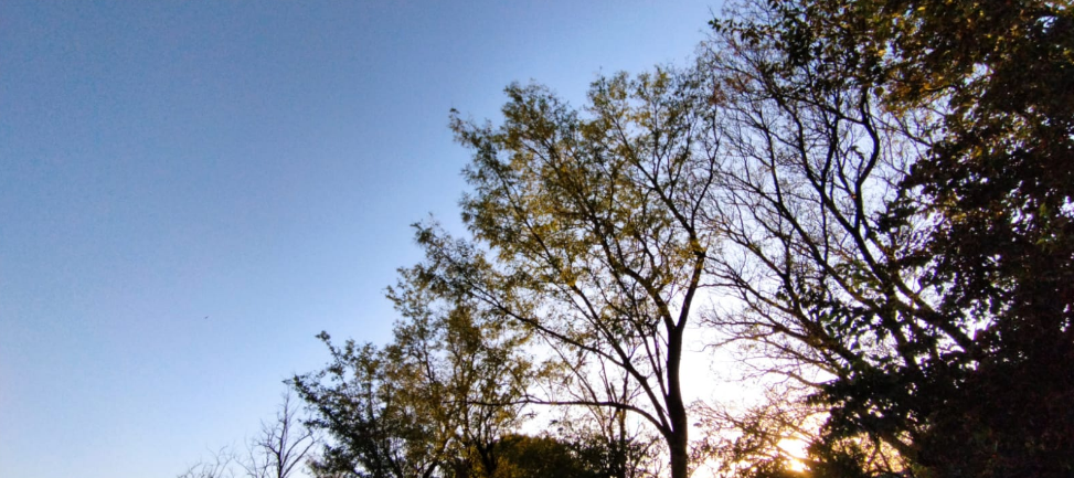 Caluroso, húmedo, viento norte, máxima 32° | Córdoba