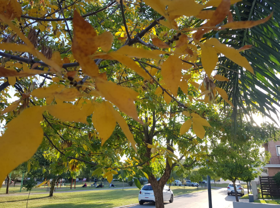 Buen tiempo, moderado aumento de temperatura, máxima 25° | Córdoba