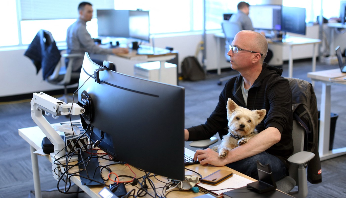 Empresas de Canadá permiten llevar mascotas a la oficina: aumentó la productividad y la tolerancia | Internacionales