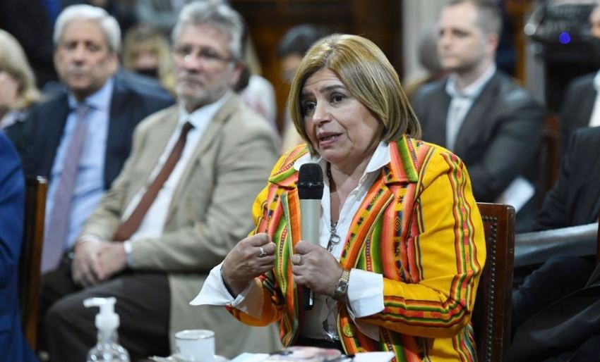Insólita pelea en el Senado: una legisladora denunció que le ocuparon su banca | Política y economía