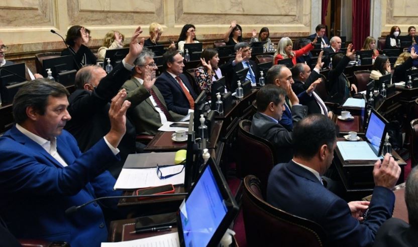 Senado: el oficialismo dio media sanción a la ley que crea un fondo para pagarle al FMI con bienes no declarados en el exterior | Política y economía