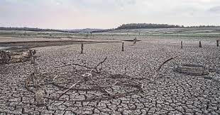 Revelan aumento de un 29% de la intensidad y cantidad de sequías en el mundo | Internacionales