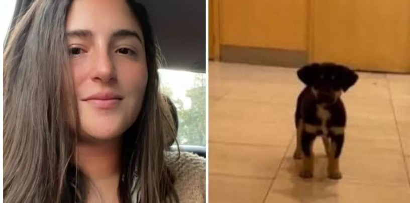 Le robó el perro a un indigente para rescatarlo y la escracharon en redes | Actualidad