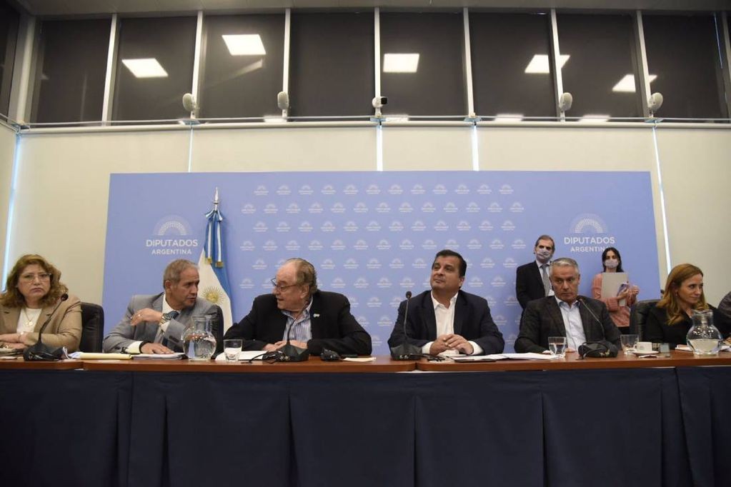 EN VIVO: Diputados avanza en la Ley de Compre Argentino | Política y economía