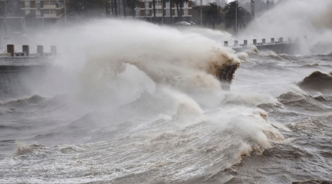 Ciclón subtropical en Uruguay: un joven murió tras la caída de un árbol | Internacionales