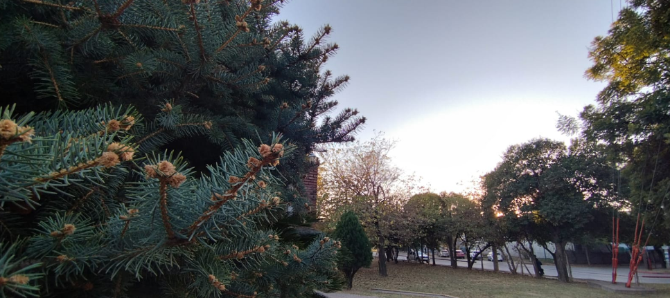 Buen tiempo, algo nublado, aumento de temperatura, máxima 24° | Córdoba