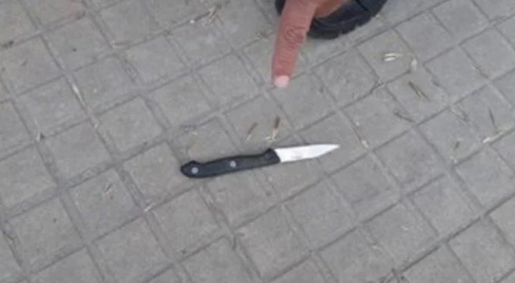 Una joven de 27 años forcejeó con un motochorro, le sacó el cuchillo, lo apuñaló y lo mató | Actualidad